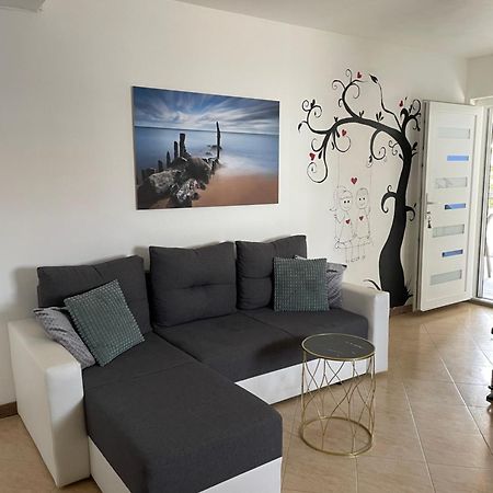 Apartmani Kristo Zadar Exterior foto